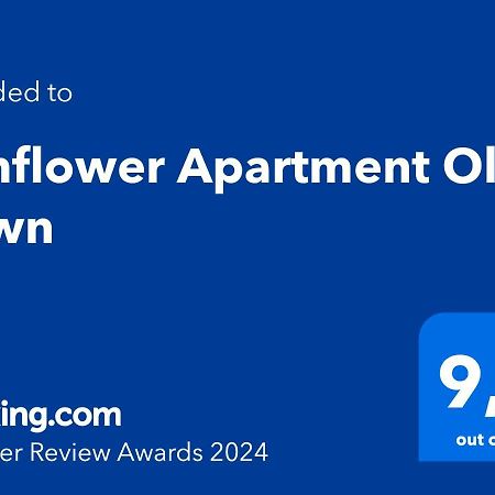 Sunflower Apartment Old Town 克拉科夫 外观 照片