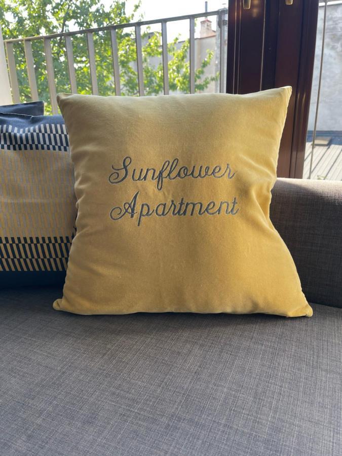 Sunflower Apartment Old Town 克拉科夫 外观 照片