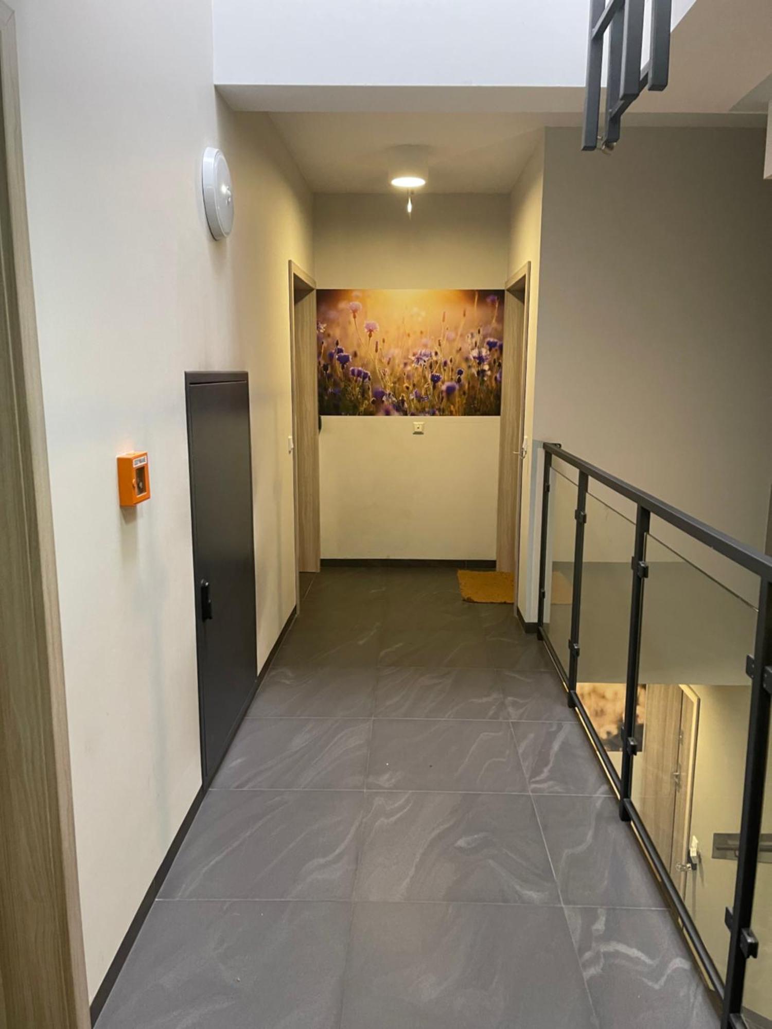 Sunflower Apartment Old Town 克拉科夫 外观 照片