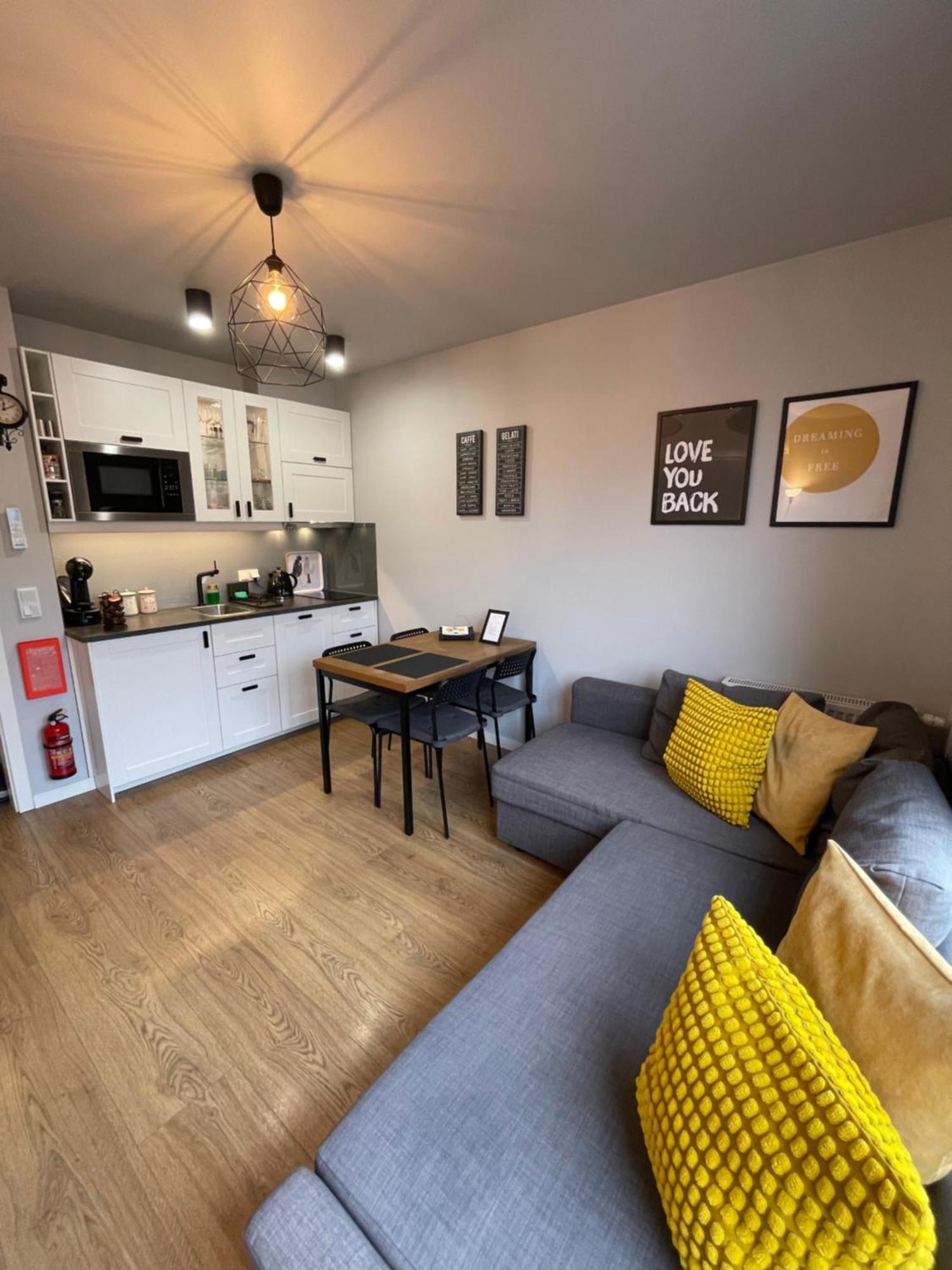 Sunflower Apartment Old Town 克拉科夫 外观 照片